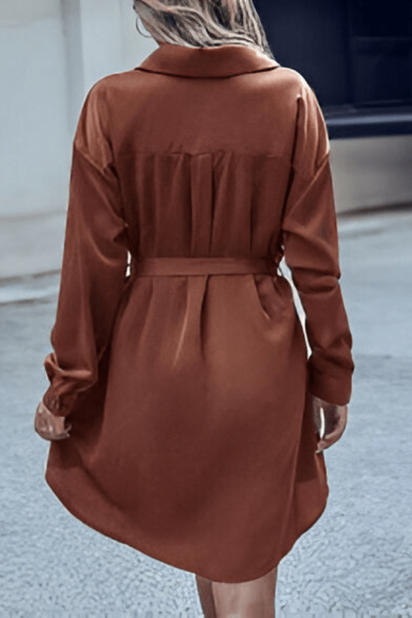 Robe Chemise Marron
