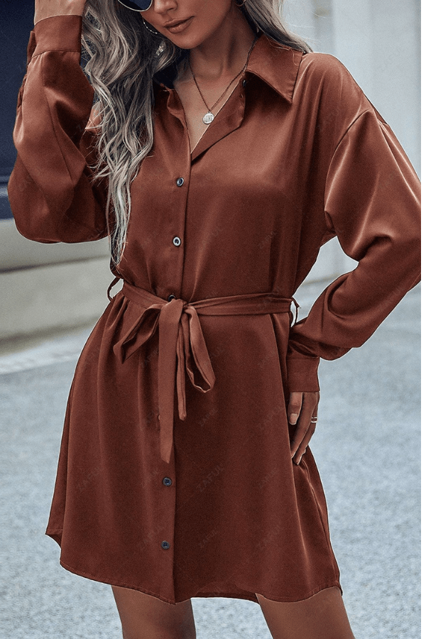 Robe Chemise Marron